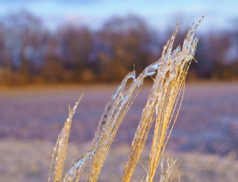 Feb.-26-2022-Ice-Photo-Shoot-30.jpg_compressed