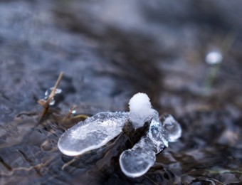Jan.-6-2025-Snow-Shoot-19.jpg_compressed