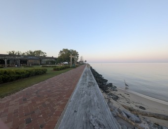 PXL_20250411_114704780.MP_.jpg_compressed