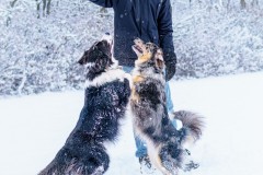 Dec.-2-2025-Gavin-Senior-Shoot-Winter-20.jpg_compressed