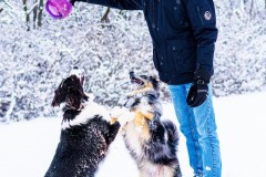 Dec.-2-2025-Gavin-Senior-Shoot-Winter-21.jpg_compressed