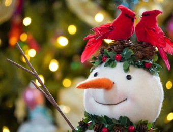 Dec.-26-2021-Christmas-2021-087.JPG_compressed