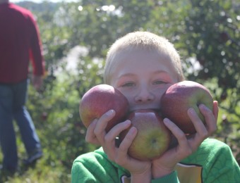 September-9-2017-Apple-Picking-051.jpg_compressed