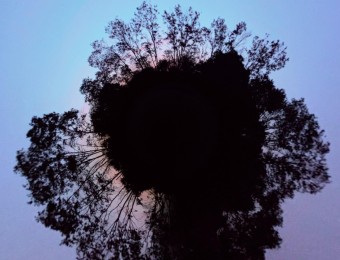 IMG_20220828_061441.jpg_compressed