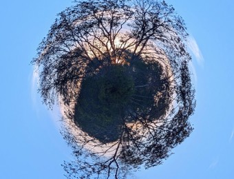 IMG_20221004_080208.jpg_compressed