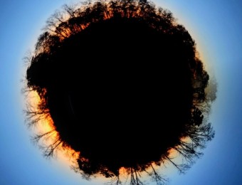IMG_20241020_084406.jpg_compressed