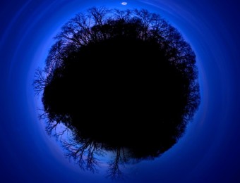 IMG_20241030_131352.jpg_compressed